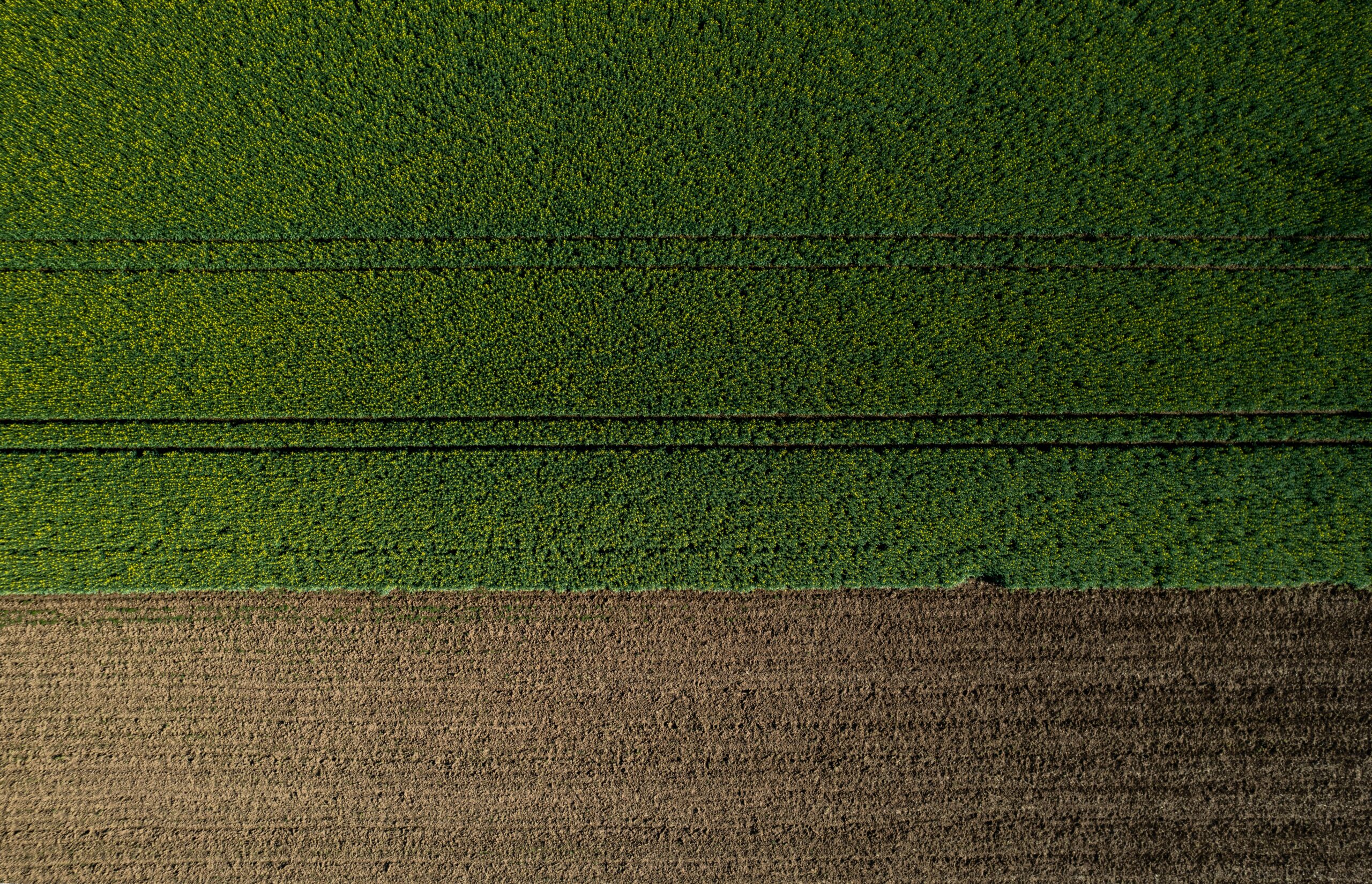 Konflik Kepentingan dalam Tata Ruang Wilayah: Mengatasi Tantangan untuk Membangun Masa Depan yang Lebih Baik