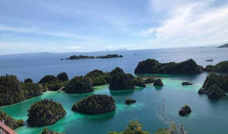 Kasus Nikel Raja Ampat Papua: Pro dan Kontra di Mata Publik