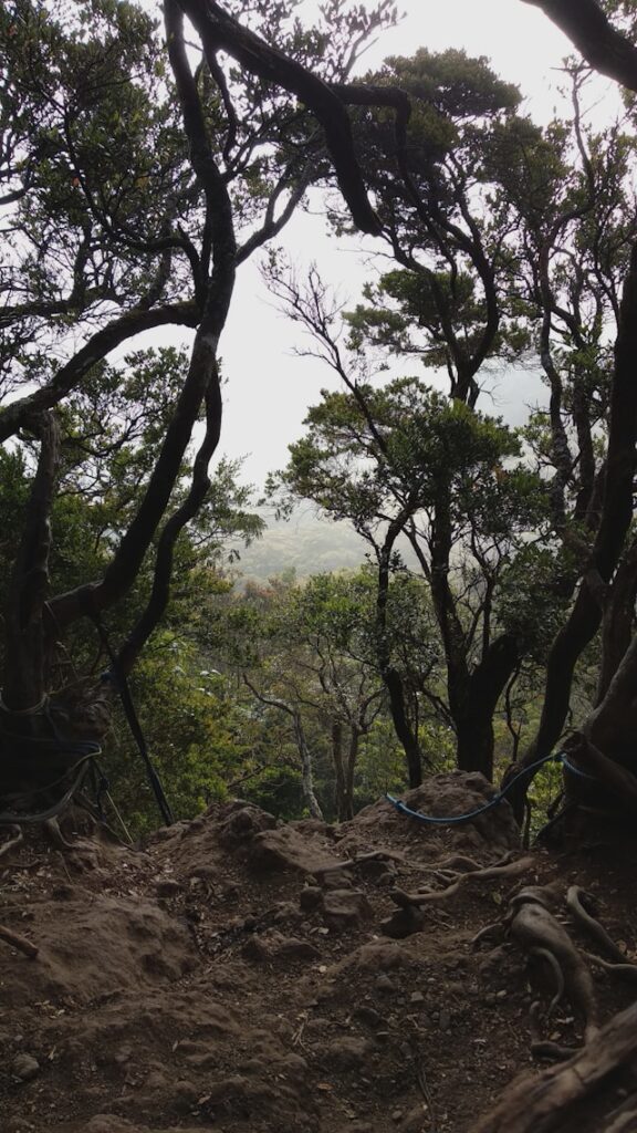 Banyak Kebohongan di Gunung