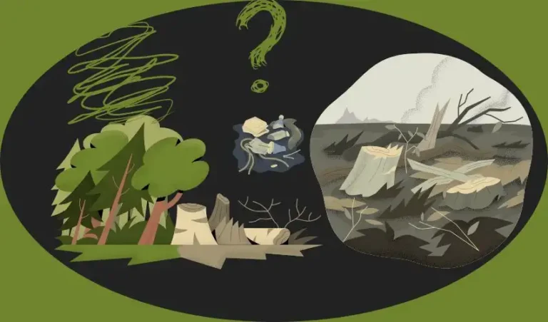 Menata Ulang Tata Ruang, Menjaga Masa Depan Pulau Sumatra