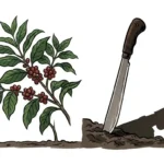 Ilustrasi Menanam Dialog Sedini Mungkin